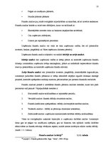 Diplomdarbs 'Uzņēmuma SIA "X" saimnieciskās darbības analīze un attīstības perspektīvas', 22.