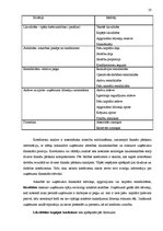 Diplomdarbs 'Uzņēmuma SIA "X" saimnieciskās darbības analīze un attīstības perspektīvas', 23.