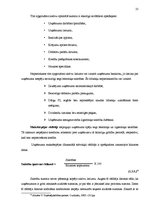 Diplomdarbs 'Uzņēmuma SIA "X" saimnieciskās darbības analīze un attīstības perspektīvas', 25.