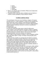 Referāts 'Jaunā realitātes teorija', 4.