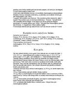 Konspekts 'Pirmais pasaules karš', 4.