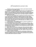 Eseja 'ASV soļo globalizācijas pirmajās rindās', 1.