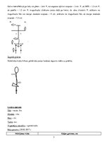 Prakses atskaite 'Pacienta vēsture fizioterapijas studentiem - L4 - L5 saknīšu sindroms', 3.