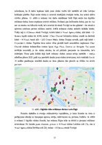 Diplomdarbs 'Digitālo ekrānu attīstības iespējas vides reklāmā Latvijā', 37.