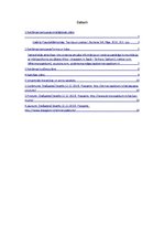 Referāts 'Reklāmas kampaņas plāns', 2.