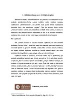 Referāts 'Reklāmas kampaņas plāns', 3.