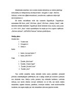 Referāts 'Reklāmas kampaņas plāns', 7.