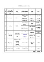 Referāts 'Reklāmas kampaņas plāns', 8.