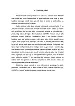 Referāts 'Reklāmas kampaņas plāns', 9.