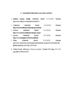 Referāts 'Reklāmas kampaņas plāns', 10.