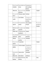 Prakses atskaite 'Lauka kurss bioģeogrāfijā', 12.