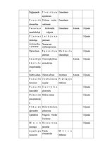 Prakses atskaite 'Lauka kurss bioģeogrāfijā', 13.