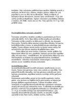 Konspekts 'Viduslaiku sabiedrības vērtības', 4.