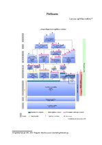 Referāts 'Izglītības organizācija un sistēma Latvijā', 13.