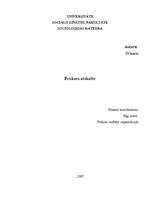 Prakses atskaite 'Uzņēmuma kolektīva izpēte ar sociometrijas metodi', 1.