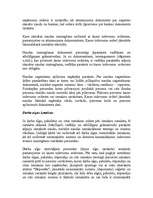 Referāts 'Finanšu grāmatvedība', 31.