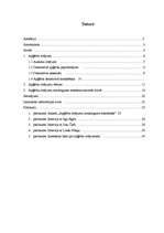 Referāts 'Apģērbu rotājumu nozīmīgums mūsdienu sieviešu dzīvē', 4.