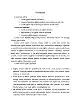 Referāts 'Apģērbu rotājumu nozīmīgums mūsdienu sieviešu dzīvē', 21.