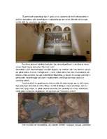 Referāts 'Dižrenesanse. Mākslas darba raksturojums: "Svētais vakarēdiens"', 4.