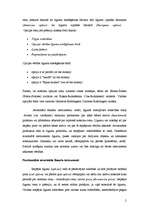 Paraugs 'Iespējas līgumi un to tirgus Latvijā', 2.