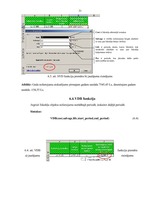 Referāts 'Finanšu uzdevumi ar finanšu funkcijām', 31.