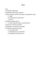 Referāts 'Cilvēktiesību konstitucionālais regulējums ārvalstīs', 1.