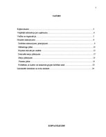 Biznesa plāns 'Topošo māmiņu kursi biedrībā "Brīnums"', 2.