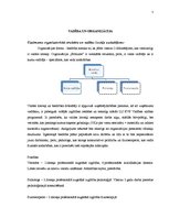 Biznesa plāns 'Topošo māmiņu kursi biedrībā "Brīnums"', 5.