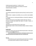 Biznesa plāns 'Topošo māmiņu kursi biedrībā "Brīnums"', 14.