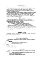 Konspekts 'Gaismas stara ceļš acs ābolā. Gaismas kairinājuma uztvere. Redzes ceļš', 5.