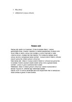 Konspekts 'Gaismas stara ceļš acs ābolā. Gaismas kairinājuma uztvere. Redzes ceļš', 7.