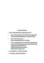 Konspekts 'Gaismas stara ceļš acs ābolā. Gaismas kairinājuma uztvere. Redzes ceļš', 8.