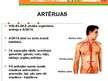 Prezentācija 'Prezentācija par asinsvadiem', 7.