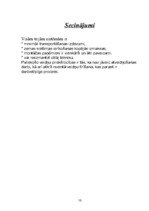 Konspekts 'Paliekošo veidņu sistēmas', 10.