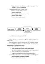 Referāts 'Reklāmas funkcijas un tās vieta mārketinga kompleksā', 6.