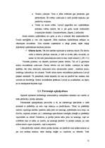 Referāts 'Reklāmas funkcijas un tās vieta mārketinga kompleksā', 12.