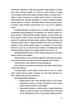 Referāts 'Reklāmas funkcijas un tās vieta mārketinga kompleksā', 13.