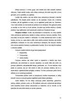 Referāts 'Reklāmas funkcijas un tās vieta mārketinga kompleksā', 21.