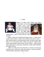 Referāts 'Fizioterapija pie displāzijas, torticollis, greizās pēdas', 5.