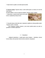 Referāts 'Fizioterapija pie displāzijas, torticollis, greizās pēdas', 7.