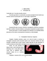 Referāts 'Fizioterapija pie displāzijas, torticollis, greizās pēdas', 8.