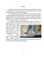 Referāts 'Fizioterapija pie displāzijas, torticollis, greizās pēdas', 9.