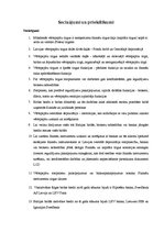 Referāts 'Starpnieku loma vērtspapīru tirgū', 25.