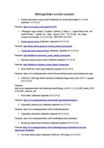 Referāts 'Starpnieku loma vērtspapīru tirgū', 27.