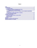 Referāts 'Jauniešu emigrācijas motīvi', 3.