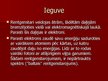 Prezentācija 'Rentgenstari', 8.
