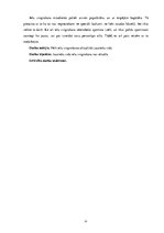 Referāts 'Ielu vingrošana', 31.