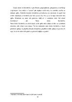 Referāts 'Ielu vingrošana', 68.