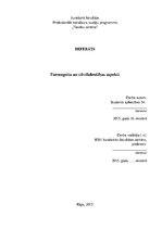 Referāts 'Farmageita un cilvēkdrošības aspekti', 1.