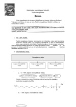 Konspekts 'Sintētiskie mazgāšanas līdzekļi. Veļas pulveris "Bonux"', 1.